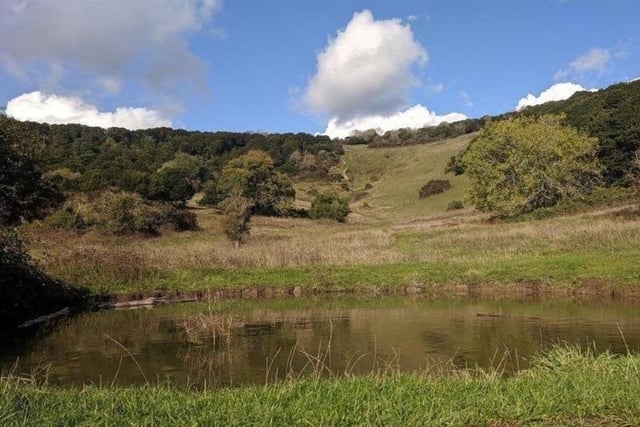 Kingley Vale is a Special Area of Conservation and a Nature Conservation Review site, Grade I. An area of 147.9 hectares is a national nature reserve.