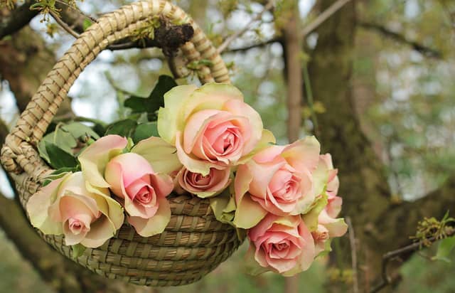 Lots of people will be saying it with flowers when they celebrate Mother's Day on Sunday