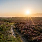 Ashdown Forest