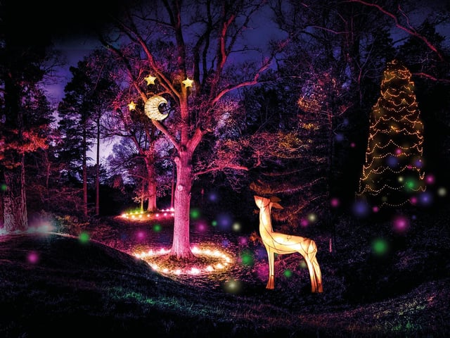 The brand-new route through Kew’s wild botanic garden has 11 bespoke installations and more than 1,000 paper lanterns handmade by local volunteers all celebrating the incredible colour spectrum of the natural world. The trail is just over one mile long and takes approximately an hour to walk round. 
For tickets, www.kew.org/wakehurst