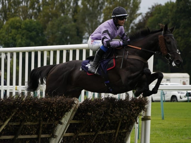 September jump racing at Fontwell Park