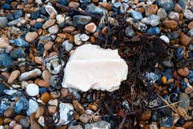 Dog owners in Adur and Worthing are being advised to be cautious when walking their pets on the beach after suspected palm oil was found.