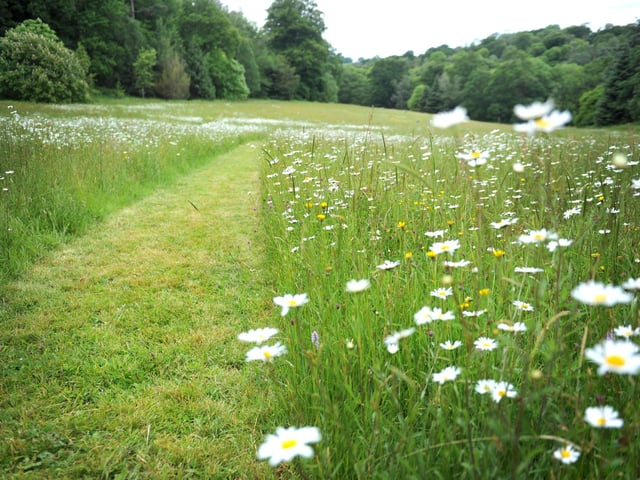 Meadowland is at Wakehurst from Friday, June 14, to Tuesday, September 10