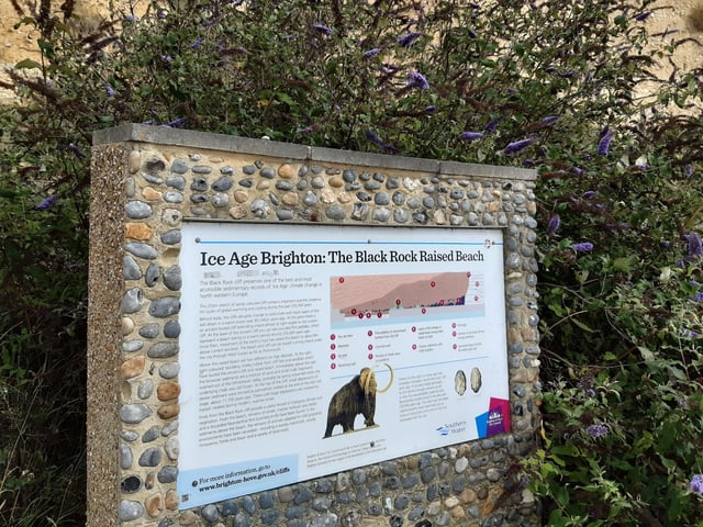 A board gives lots of information about Ice Age Brighton and the Black Rock Raised Beach