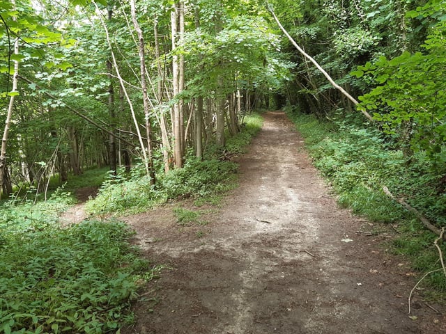 Carry on along the wide path until you see this much smaller path wiggle off to the left. This is where you need to run left to go round the back of the Northfield blocks.