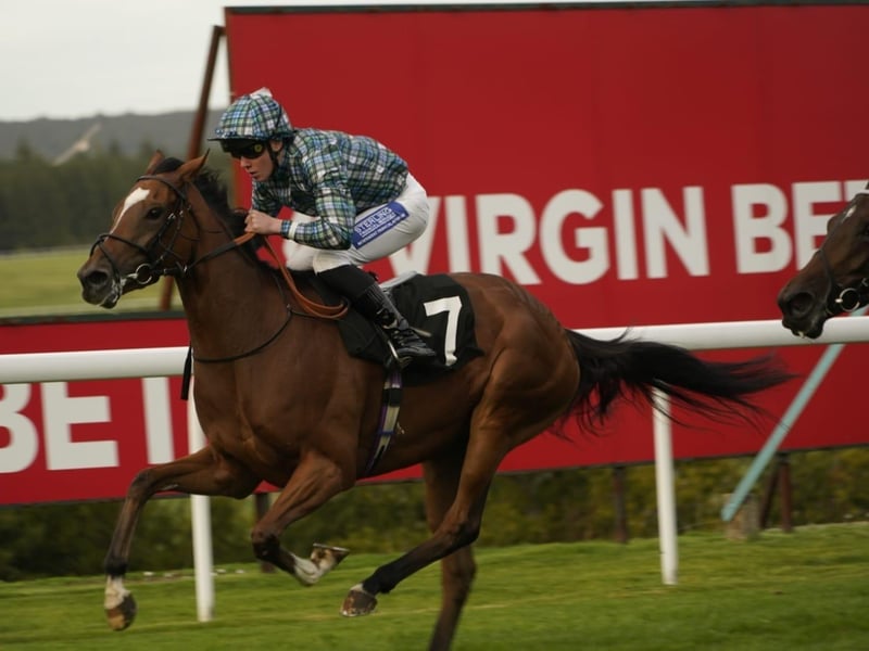 Goodwood Racecourse 2026 season finale