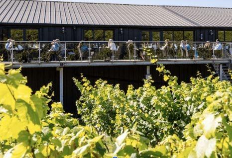 The Bolney Estate at Bolney has been producing wine since 1972. The sandstone soils are some of the best in the country for growing vines and they are known for their Bolney bubbly, cuvee rose and pinot noir.
People can visit Bolney Estate all year round. They offer tours followed by a tutored tasting. There is an on-site shop, café, bar and large restaurant with views of the vines.