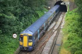 Rail services faced disruption after bedbugs were reportedly found on trains near Hastings.