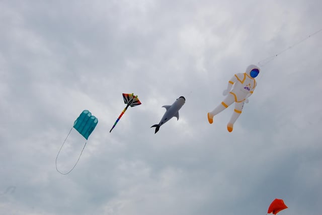 Selsey Kite Festival: In Pictures