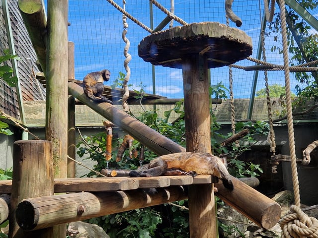 Drusillas offers animals, rides, play areas and more for families from Sussex and beyond
