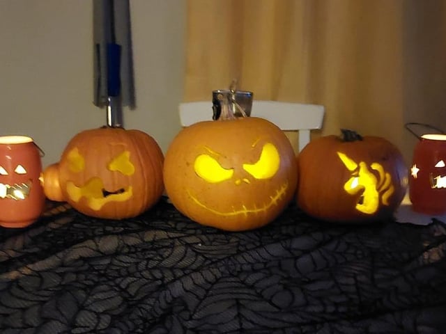 Pumpkin picture provided by Hayley McCabe