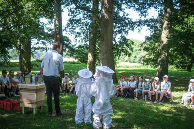 Easebourne Primary School pupils trying on beekeeper suits during Community Week