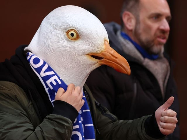 STOKE ON TRENT, ENGLAND - FEBRUARY 28: A fan of Brighton & Hove Albion, wearing a Seagull mask, looks on prior to the Emirates FA Cup Fifth Round match between Stoke City and Brighton and Hove Albion at Bet365 Stadium on February 28, 2023 in Stoke on Trent, England. (Photo by Naomi Baker/Getty Images)