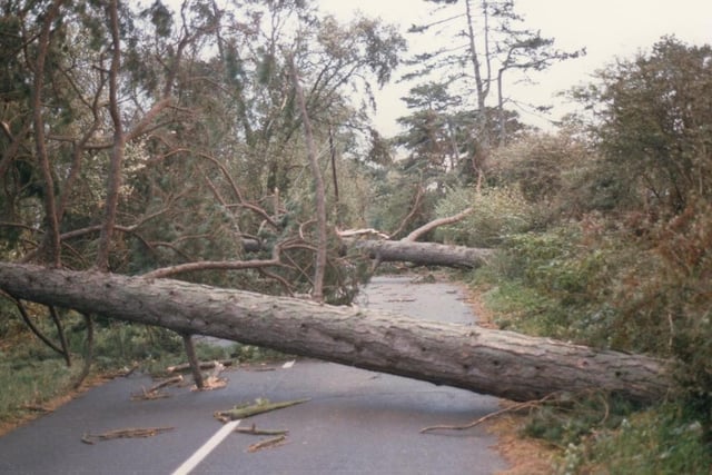 Hanlye Lane in Cuckfield after the Great Storm