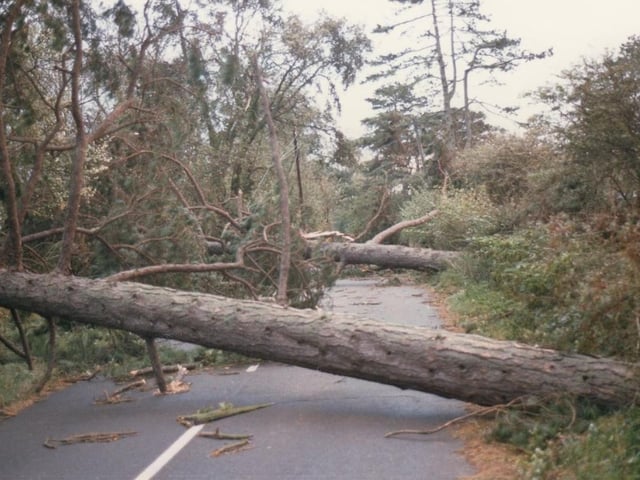 Hanlye Lane in Cuckfield after the Great Storm
