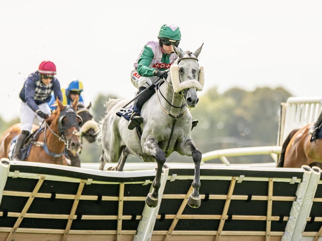 A great day to introduce families to horseracing for the first time