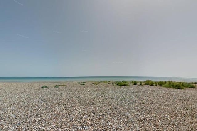 Dogs are banned from the beach in Goring between the launch ramp in line with Seafield Avenue and the launch ramp at Worthing Sailing Club.