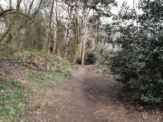 This is quite a steep hill but not for long