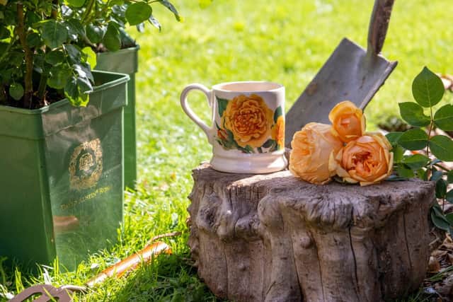 Bring Me Sunshine Half Pint Mug celebrates great British craftsmanship and glorious NGS gardens.