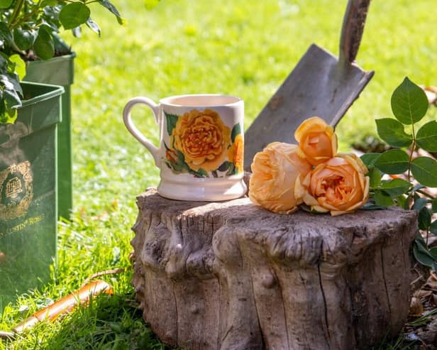 Bring Me Sunshine Half Pint Mug celebrates great British craftsmanship and glorious NGS gardens.