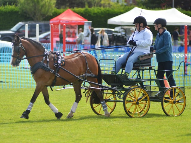 Bexhill Horse & Dog Show 2024.