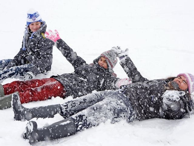 Snow at Sullington Warren