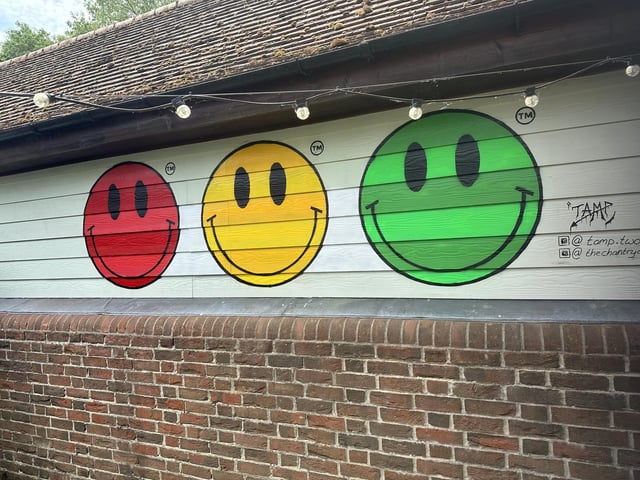 Bognor Regis-based artist Tamp produced this mural in The Chantry, in Chichester, as part of this year's festival.