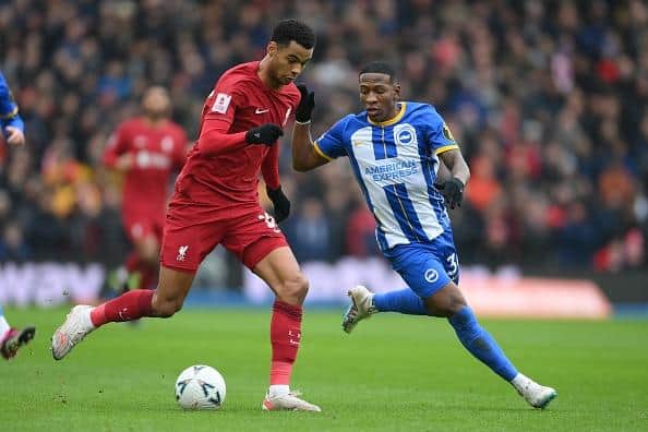 Cody Gakpo of Liverpool is set to miss the trip to Brighton this Sunday