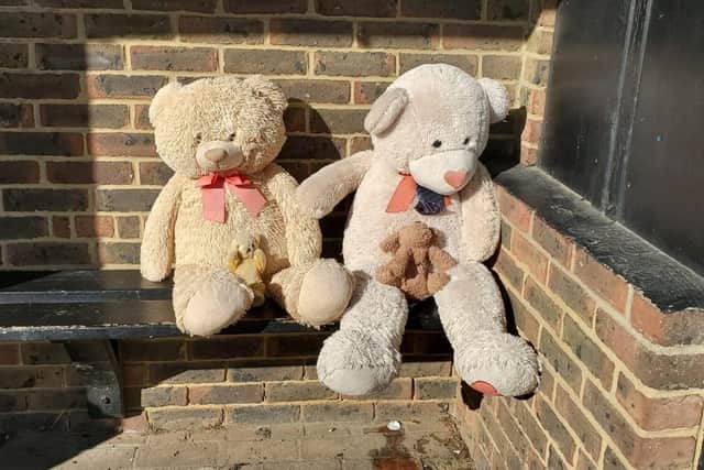 Plumpton Green's teddy bear family in their winter home. Contributed photo by Jeff Packham
