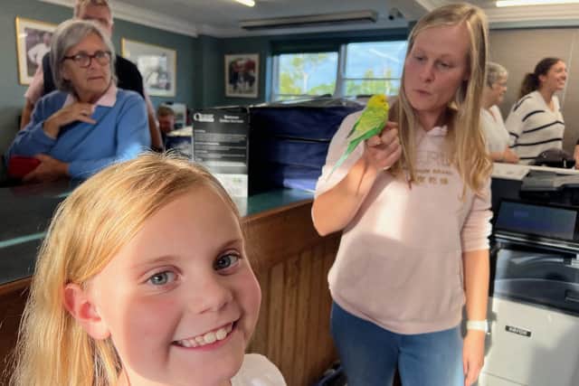Chip the budgie was reunited with Sienna this week at Hickstead