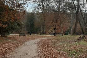 Crawley Christmas walks 2022: Top 5 places to go to burn off the turkey this festive period