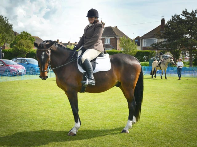 Bexhill Horse & Dog Show 2024.