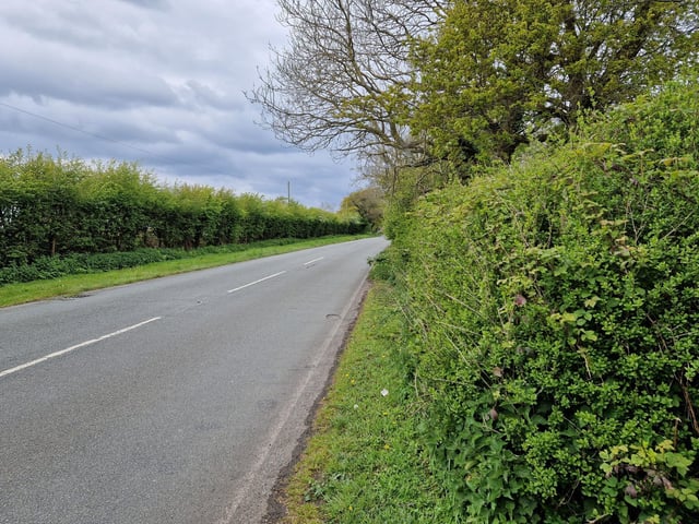 This brings you out to Arundel Road. Turn right and follow the road.
