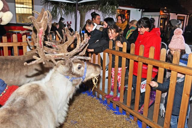 Littlehampton Christmas lights switch on event. Photo by Derek Martin Photography and Art.