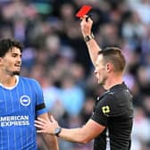 Brighton & Hove Albion defender Pascal Struijk has been ruled out of today's Premier League clash against arch-rivals Crystal Palace, despite having his red card against Sunderland overturned. Photo: OLI SCARFF / AFP via Getty Images