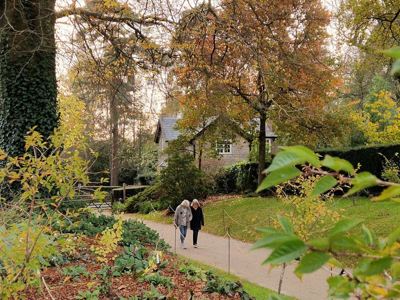 Nymans is a National Trust property at Handcross, West Sussex. With lots of easily-accessible pathways, and gladed areas, it's perfect for a family to get out and enjoy nature in all its autumn finery.
