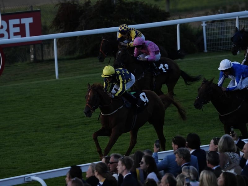 Friday evening racing kicks off bank holiday weekend at Goodwood