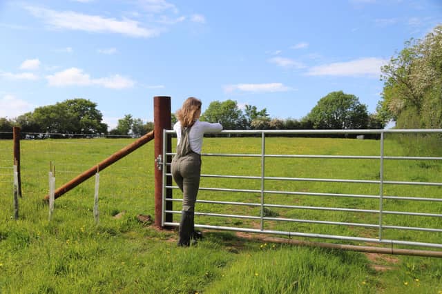 A child looks out over a farm gate.