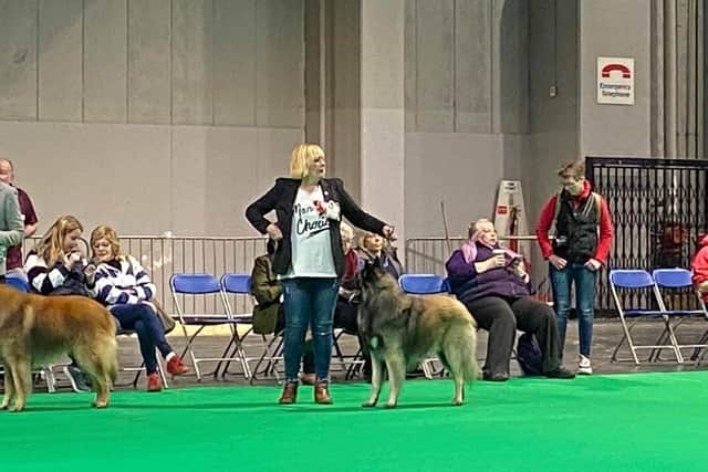 Virginia Falo Govillar and Raksha taking part in a previous year's Crufts