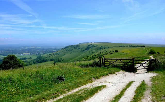 The South Downs Way in Sussex. Picture; Alan Whitehead/Adobe Stock