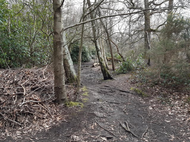 Walk through the trees and follow the path round