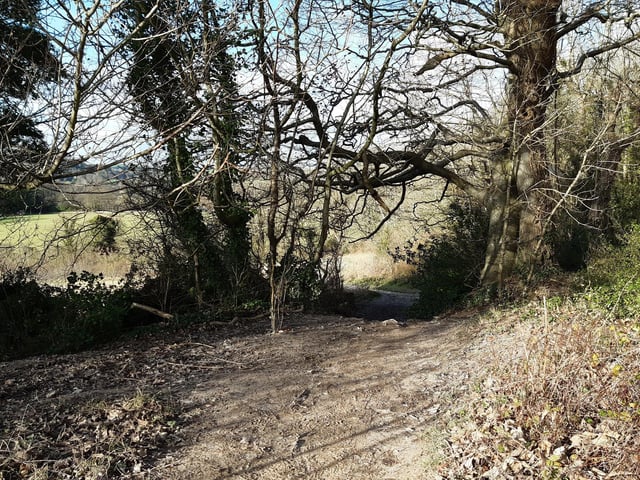 An archway of trees at the bottom allows you passage through.