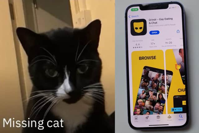 A pet owner has taken ‘catfishing’ to a whole new level by using a dating app to find their missing cat.