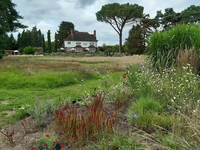 RHS Garden Wisley is a great day out, and it's only just outside of Sussex. Picture: Katherine HM