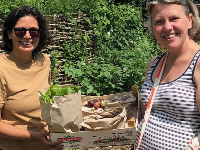 Fresh produce from the garden is supplied to Shoreham and Adur Community Foodbank and Adur Community Cafe free of charge