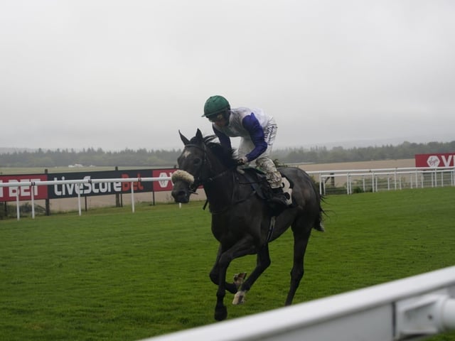 September flat racing at Goodwood Racecourse