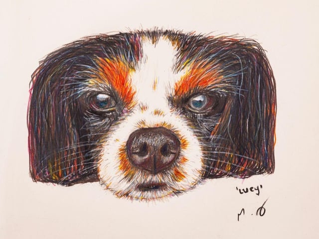 Lucy Dr Marc Abraham OBE