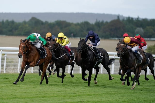 CHICHESTER, ENGLAND - AUGUST 01: Sean Levey riding Haatem (green sleeves) win The Nicholson Gin Vintage Stakes at Goodwood Racecourse on August 01, 2023 in Chichester, England. (Photo by Alan Crowhurst/Getty Images):Images from the opening day of the 2023 Qatar Goodwood Festival