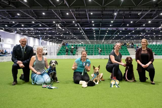 Large Agility Starters Cup Final Credit The Kennel Club