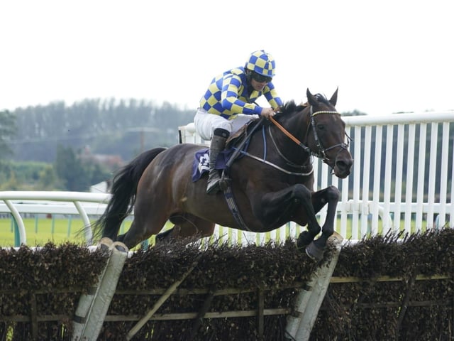 September jump racing at Fontwell Park